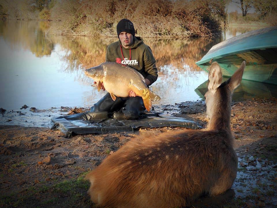 carp - 1238850671114196251711895018032n.jpg